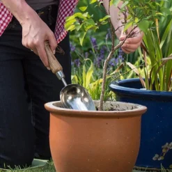 New Release -Green Bowers Sales Store 1002024 1