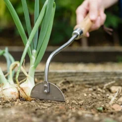 Kent & Stowe Stainless Steel Hand Onion Hoe 5 Kent & Stowe Stainless Steel Hand Onion Hoe -Green Bowers Sales Store 1031062 1