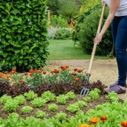 New Release -Green Bowers Sales Store 1031071 1