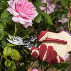 Kent & Stowe Rose Cut & Hold Secateurs -Green Bowers Sales Store 1031091 2