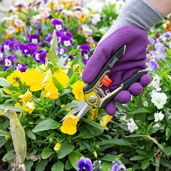 Wilkinson Sword Precision Pruner Twin Pack 4 Wilkinson Sword Precision Pruner Twin Pack - Image 2