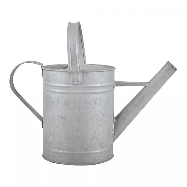 Fallen Fruits Old Zinc Watering Can 1.6L 3 Fallen Fruits Old Zinc Watering Can 1.6L