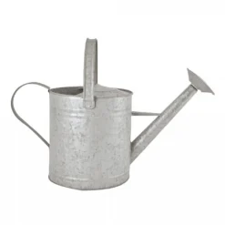 Fallen Fruits Old Zinc Watering Can 8.7L