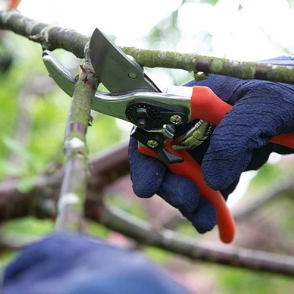 Wilkinson Sword Folding Pruner Saw & Pruner Set 5 Wilkinson Sword Folding Pruner Saw & Pruner Set - Image 3