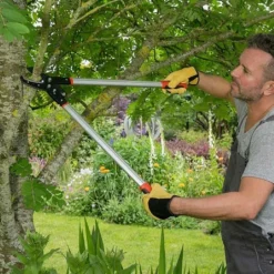 Wilkinson Sword Rachet Anvil Loppers 5 Wilkinson Sword Rachet Anvil Loppers -Green Bowers Sales Store 1140385 1