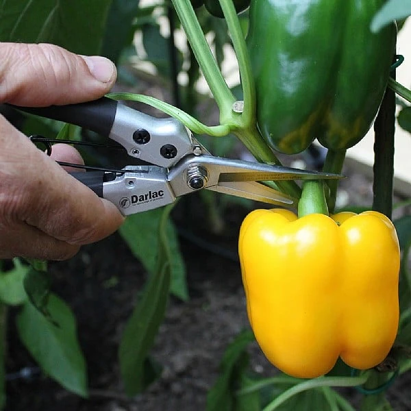 Darlac Compact Snips 4 Darlac Compact Snips - Image 2