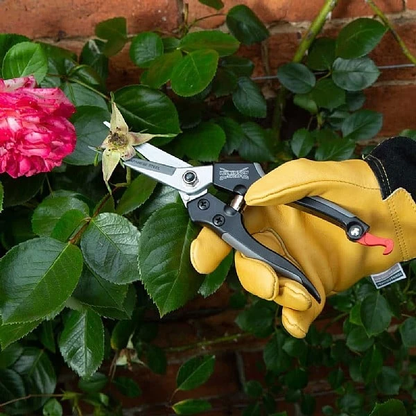 Wilkinson Sword Straight Pruning Snips 4 Wilkinson Sword Straight Pruning Snips - Image 2