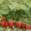 Smart Garden Multi-Mesh - Green - Various Sizes -Green Bowers Sales Store MULTIMESH
